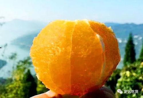 水瓜今日价,市场行情一览