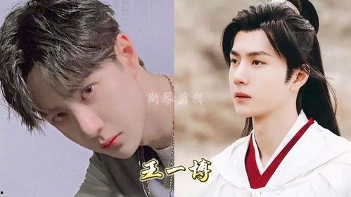 封神视频明星网红大全集,揭秘明星网红大全集，带你领略娱乐圈风云变幻