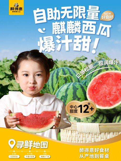 麒麟瓜今日价格赶集,抢购热潮下的市场动态