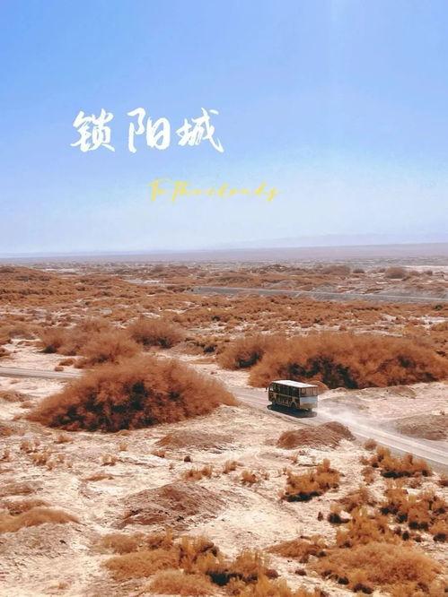 今日去瓜州旅游,穿越千年丝绸之路，探寻古韵风情