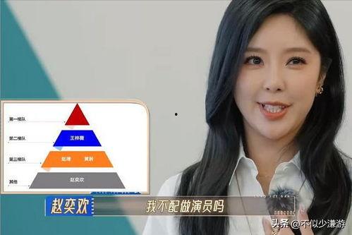 应援明星网红是谁呀视频,揭秘“应援明星网红”背后的热门视频现象