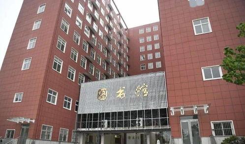 河南周口小吊瓜今日价格,今日市场行情一览，价格走势分析”