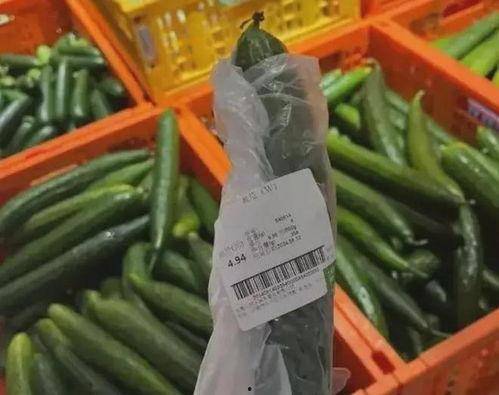 刺瓜多少钱一斤市场价今日,行情波动，价格几何？