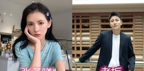 谈谈对明星网红的看法,明星网红现象的社会影响与反思
