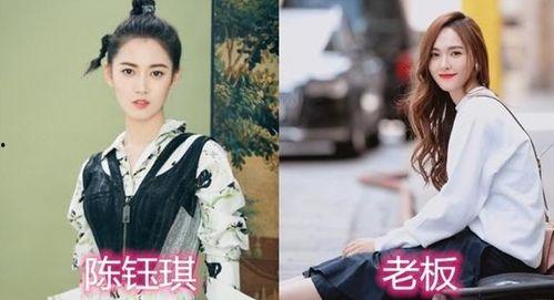 谈谈对明星网红的看法,明星网红现象的社会影响与反思