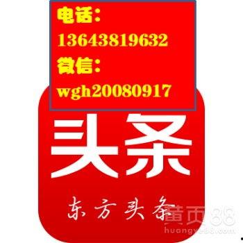 湛江蒲瓜今日头条,探寻今日头条上的绿色美食传奇