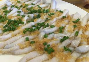 湛江蒲瓜今日头条,探寻今日头条上的绿色美食传奇