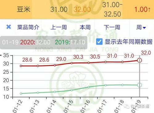 宣威小瓜今日行情走势,今日走势解析