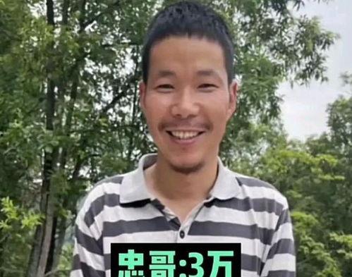 支援河北明星网红是谁