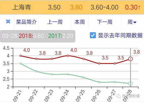 万邦今日蜜瓜行情走势图,今日走势解析，洞察市场脉动