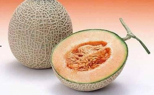 江南水果市场哈密瓜今日价格,哈密瓜价格行情一览