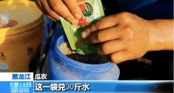 今日吃瓜吃瓜新闻报道最新