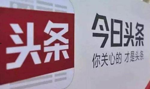 陕瓜视频今日头条