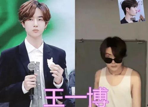 模仿者明星网红叫什么,揭秘网络红人的幕后模仿传奇