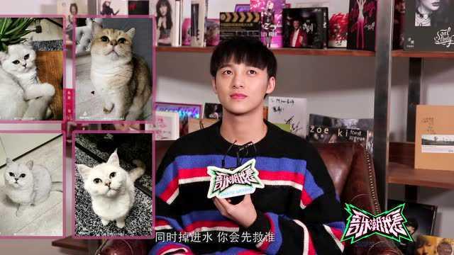 明星网红改编歌曲视频,明星同框演绎新潮流