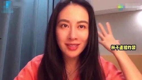 明星网红在一起