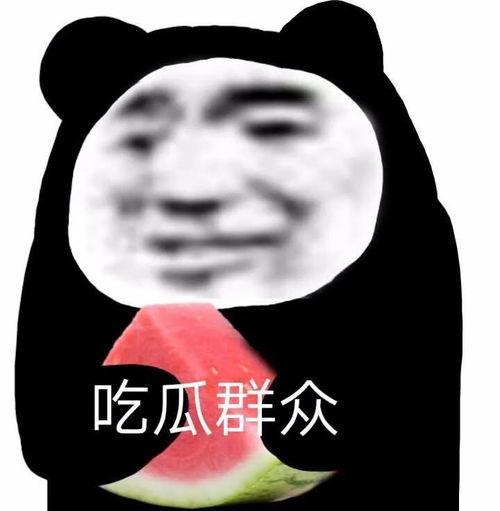 今日吃瓜表情包,笑料百出，欢乐无限