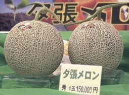 金香玉蜜瓜今日价格行情