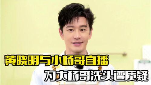 全网明星网红评价大杨哥,大杨哥的明星网红评价风云录