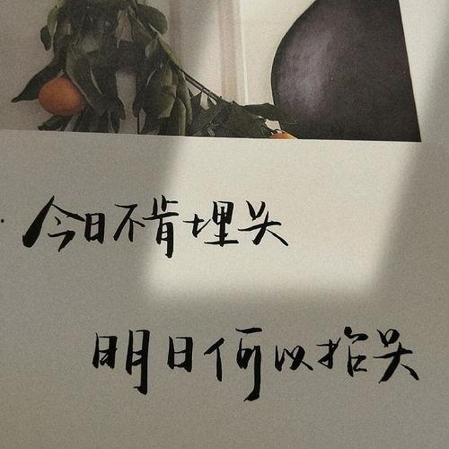 今日吃瓜文案句子图片,揭秘热门事件背后的真相与笑料