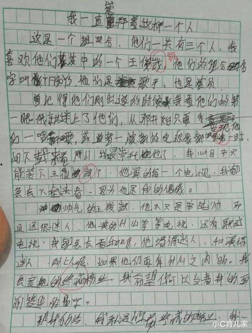 自己喜欢的明星网红作文,我的明星网红偶像之旅