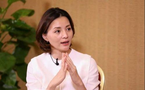 明星网红董卿简介视频,从荧幕女神到网红达人，揭秘她的魅力人生