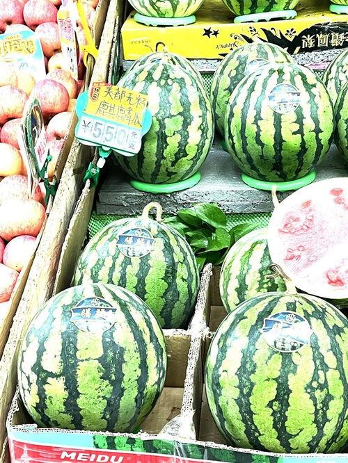 美都精品麒麟瓜今日价格,价格惊喜连连！”
