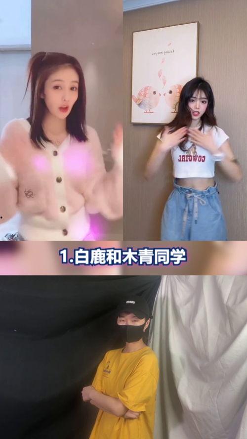 明星网红跳的舞蹈视频,跟随明星网红一起舞动青春风采
