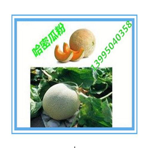 燕店瓜今日价格,价格行情一览”