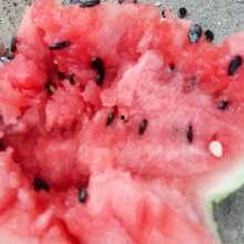 燕店瓜今日价格,价格行情一览”