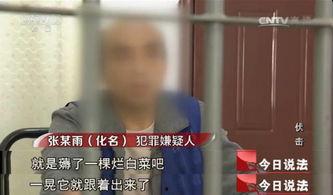 今日说法吃瓜吃到自己,揭秘网络舆论的漩涡效应