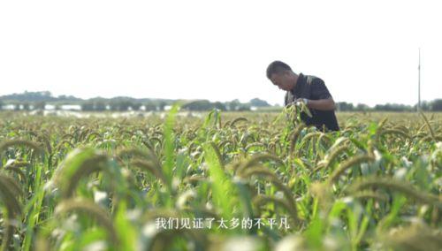 乡村季风今日瓜菜行情,新鲜直供，价格透明