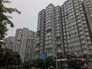 成都明星网红最多的小区,明星网红最多的小区揭秘