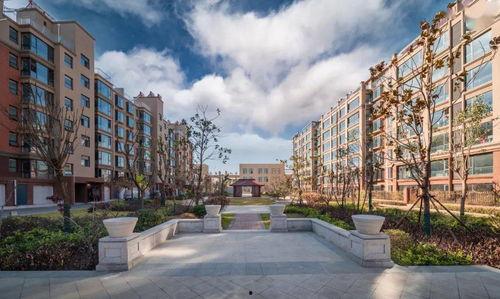 成都明星网红最多的小区,明星网红最多的小区揭秘