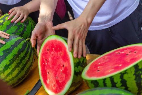 今日吃瓜成都mc,揭秘娱乐圈最新热点