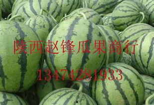 潮州今日哈密瓜价格行情,新鲜上市，价格走俏