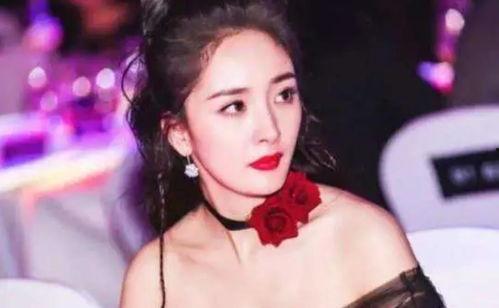 明星网红同款密室江苏,江苏密室逃脱热潮背后的故事