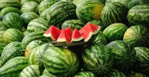 丽水今日热瓜事件真相,揭秘背后真相与影响