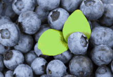 今日酥瓜价格,新鲜上市，品质保证