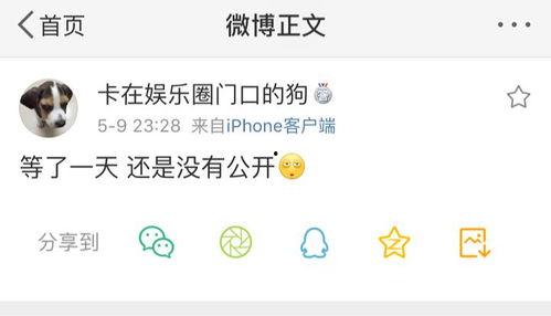 今日吃瓜爆料了吗图片大全,图解娱乐圈风云变幻