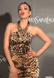 明星网红钟丽缇是谁啊,魅力四射的影视明星与网红魅力并存