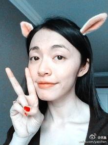 明星网红为什么都在浙江,明星网红聚集的璀璨星河之地