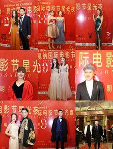 明星网红庆典视频大全集,明星网红庆典视频全集精彩回顾