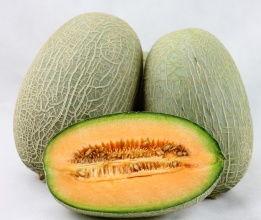 哈密瓜今日价格商情网,今日商情网行情一览