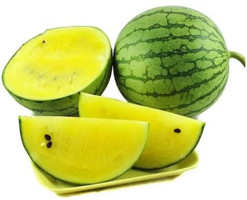 凌海甜王瓜今日最新价,价格行情一览无余”