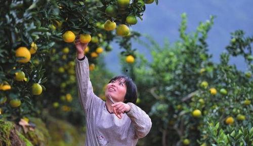 丽水今日大瓜最新消息,今日大瓜事件引发热议