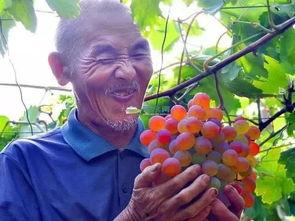 丽水今日大瓜最新消息,今日大瓜事件引发热议