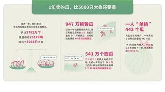 今日吃瓜消费报告,揭秘瓜界潮流与市场风向