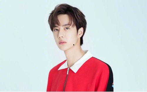 马姓明星网红有哪些,网络红人中的璀璨星辰