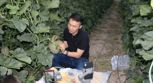 今日兰考县长直播卖瓜,助力当地瓜农丰收